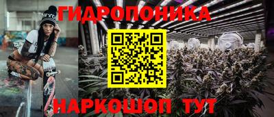 скорость Обь